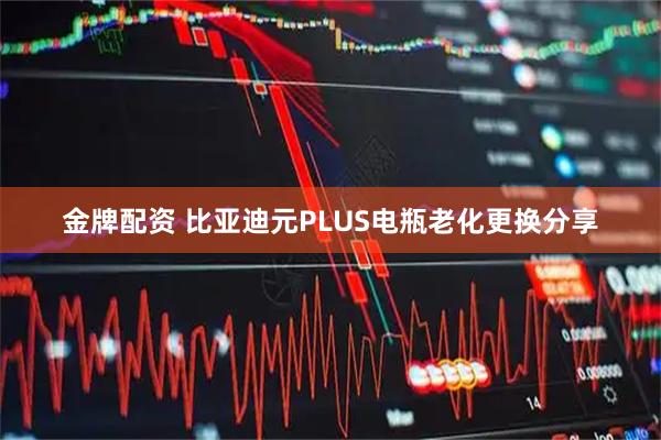 金牌配资 比亚迪元PLUS电瓶老化更换分享