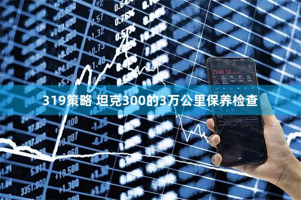 319策略 坦克300的3万公里保养检查